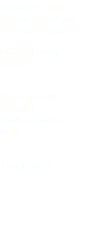 Gabbiano Reale Yellow-legged gull Larus michahellis Charadriiformes Laridae Valle Fattibello (Ferrara) Emilia Romagna Italia 1 aprile 2017