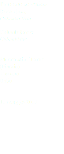 Piccione selvatico Rock dove Columba livia Columbiformes Columbidae Montecatini Terme (Pistoia) Toscana Italia 11 maggio 2017