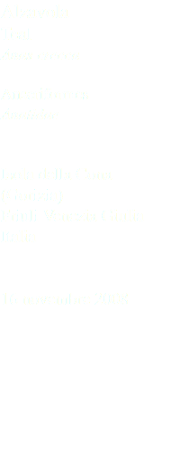 Alzavola Teal Anas crecca Anseriformes Anatidae Isola della Cona (Gorizia) Friuli Venezia Giulia Italia 16 novembre 2008