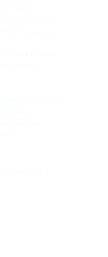 Grillaio Lesser kestrel Falco naumanni Falconiformes Falconidae Montescaglioso (Matera) Basilicata Italia 6 agosto 2017