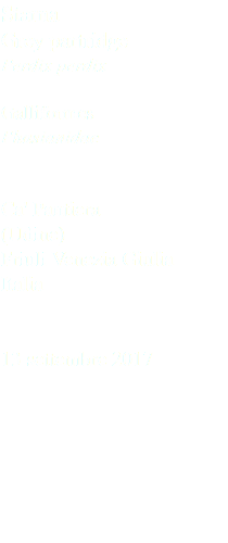 Starna Grey partridge Perdix perdix Galliformes Phasianidae Ca' Pantiera (Udine) Friuli Venezia Giulia Italia 13 settembre 2017