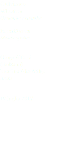 Culbianco Wheatear Oenanthe oenanthe Passeriformes Muscicapidae Giogo Alfarei (Bolzano) Trentino Alto Adige Italia 19 luglio 2017