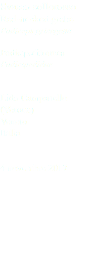 Svasso collorosso Red-necked grebe Podiceps grisegena Podicipediformes Podicipedidae Lido Campanello (Verona) Veneto Italia 4 novembre 2017