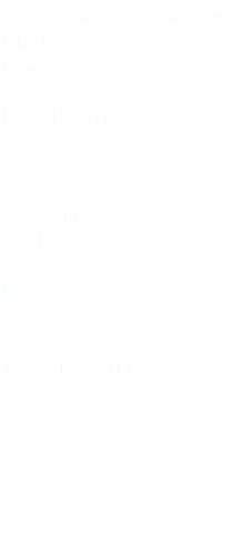 Codirosso spazzacamino Black redstart Phoenicurus ochruros Passeriformes Muscicapidae Cava Buscada (Belluno) Veneto Italia 15 ottobre 2017