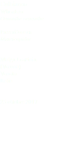 Culbianco Wheatear Oenanthe oenanthe Passeriformes Muscicapidae Malga Lessinia (Verona) Veneto Italia 25 ottobre 2017