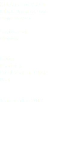 Strolaga mezzana Black-throated loon Gavia stellata Gaviiformes Gaviidae Duino (Gorizia) Friuli Venezia Giulia Italia 15 novembre 2017