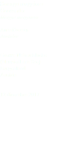 Smergo maggiore Goosander Mergus merganser Anseriformes Anatidae Grosse Nebruchlacke (Neusiedl am See) Burgenland Austria 12 dicembre 2017
