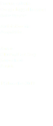 Poiana calzata Rough-legged buzzard Buteo lagopus Accipitriformes Accipitridae Andau (Neusiedl am See) Burgenland Austria 14 dicembre 2017