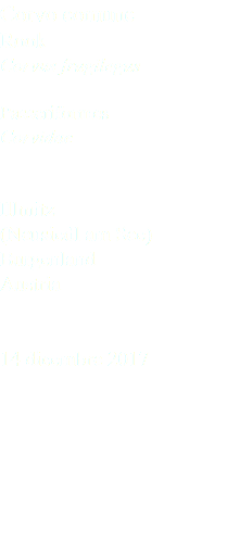Corvo comune Rook Corvus frugilegus Passeriformes Corvidae Illmitz (Neusiedl am See) Burgenland Austria 14 dicembre 2017