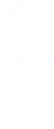 Passera Mattugia Tree sparrow Passer montanus Passeriformes Passeridae Osli (Györ-Moson-Sopron) Transdanubio Occidentale Ungheria 13 dicembre 2017