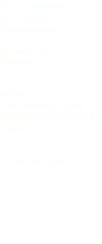 Passera Mattugia Tree sparrow Passer montanus Passeriformes Passeridae Földsziget (Györ-Moson-Sopron) Transdanubio Occidentale Ungheria 13 dicembre 2017