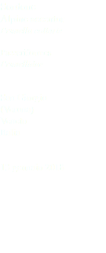 Sordone Alpine accentor Prunella collaris Passeriformes Prunellidae San Giorgio (Verona) Veneto Italia 13 gennaio 2018