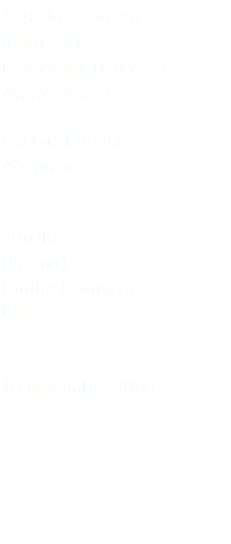 Aquila anatraia maggiore Lesser spotted eagle Aquila clanga Accipitriformes Accipitridae Torrile (Parma) Emilia Romagna Italia 16 novembre 2006