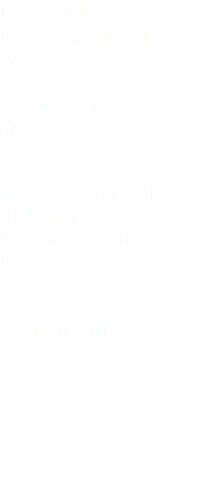 Bigiarella Lesser whitethroat Sylvia curruca Passeriformes Sylviidae Rifugio Fodara Vedla (Bolzano) Trentino Alto Adige Italia 28 giugno 2015