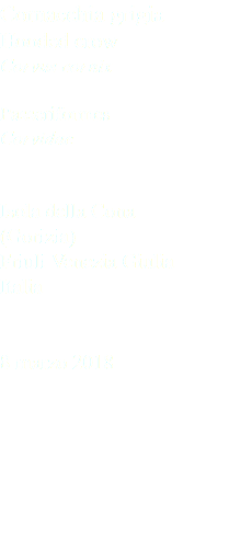 Cornacchia grigia Hooded crow Corvus cornix Passeriformes Corvidae Isola della Cona (Gorizia) Friuli Venezia Giulia Italia 8 marzo 2018