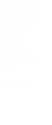 Tortora dal collare Turtle dove Streptopelia decaocto Columbiformes Columbidae Porto di Duino (Trieste) Friuli Venezia Giulia Italia 24 gennaio 2018