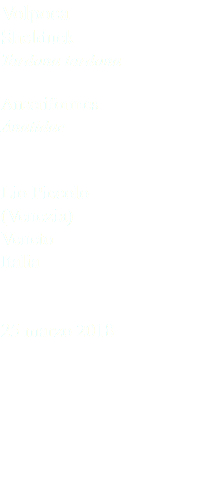 Volpoca Shelduck Tardona tardona Anseriformes Anatidae Lio Piccolo (Venezia) Veneto Italia 25 marzo 2018