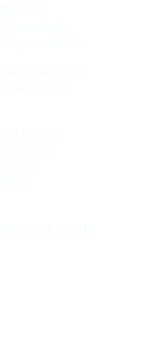 Pantana Greenshank Tringa nebularia Charadriiformes Scolopacidae Lio Piccolo (Venezia) Veneto Italia 10 dicembre 2016