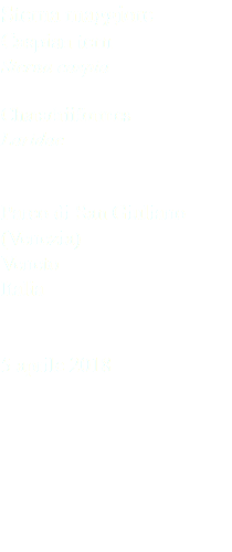 Sterna maggiore Caspian tern Sterna caspia Charadriiformes Laridae Parco di San Giuliano (Venezia) Veneto Italia 5 aprile 2018