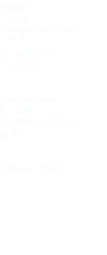 Fanello Linnet Carduelis cannabina Passeriformes Fringillidae Col Margherita (Trento) Trentino Alto Adige Italia 28 agosto 2018