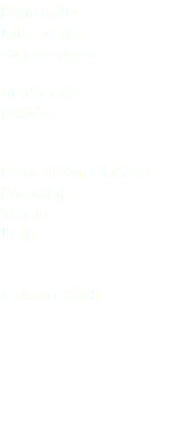 Schiribilla Little crake Porzana parva Gruiformes Rallidae Parco di San Giuliano (Venezia) Veneto Italia 4 ottobre 2018