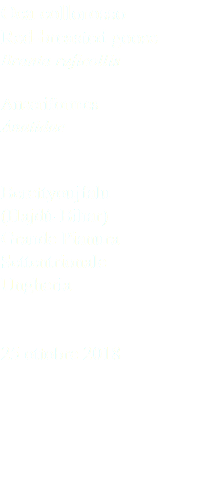 Oca collorosso Red-breasted goose Branta ruficollis Anseriformes Anatidae Berettyoujfalu (Hajdú-Bihar) Grande Pianura Settentrionale Ungheria 25 ottobre 2018