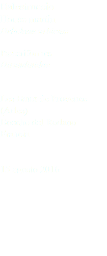 Balestruccio House martin Delichum urbicum Passeriformes Hirundinidae Les Baux de Provence (Arles) Bocche del Rodano Francia 15 agosto 2016