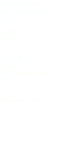 Strolaga mezzana Black-throated loon Gavia stellata Gaviiformes Gaviidae Isola della Cona (Gorizia) Friuli Venezia Giulia Italia 28 novembre 2018