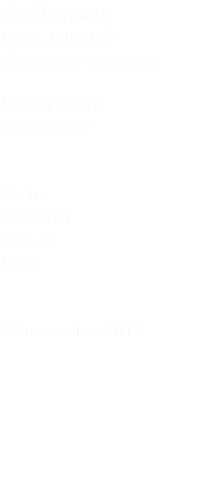 Codibugnolo Long-tailed tit Aegithalus europaeus Passeriformes Aegithalidae Casier (Treviso) Veneto Italia 29 novembre 2018