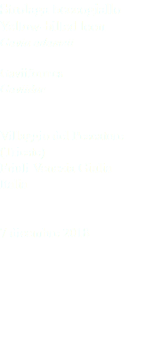 Strolaga beccogiallo Yellow-billed loon Gavia adamsii Gaviiformes Gaviidae Villaggio del Pescatore (Trieste) Friuli Venezia Giulia Italia 7 dicembre 2018