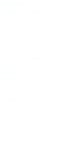 Pellicano riccio Dalmatian pelican Pelecanus crispus Pelecaniformes Pelecanidae Lago Atanasovsko (Burgas) Burgas Bulgaria 28 gennaio 2019