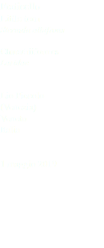 Fraticello Little tern Sternula albifrons Charadriiformes Laridae Lio Piccolo (Venezia) Veneto Italia 1 maggio 2019