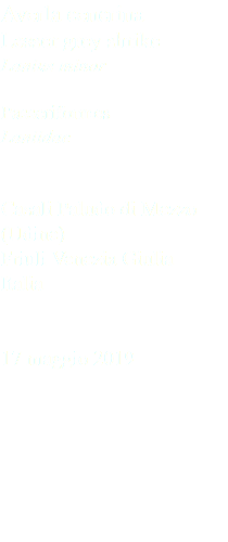 Averla cenerina Lesser grey shrike Lanius minor Passeriformes Laniidae Casali Paludo di Mezzo (Udine) Friuli Venezia Giulia Italia 17 maggio 2019
