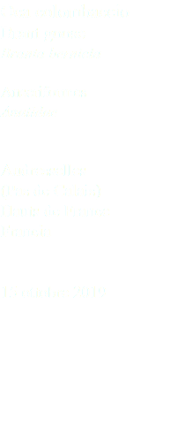 Oca colombaccio Brant goose Branta bernicla Anseriformes Anatidae Audresselles (Pas de Calais) Hauts de France Francia 15 ottobre 2019