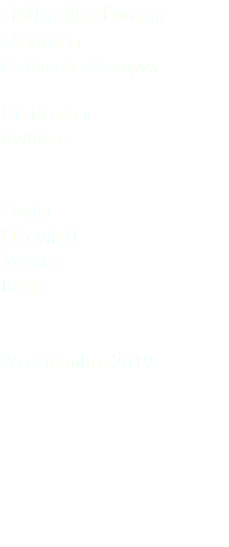 Gallinella d'acqua Moorhen Gallinula chloropus Gruiformes Rallidae Casier (Treviso) Veneto Italia 26 settembre 2019