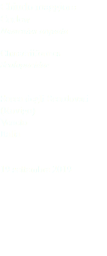 Chiurlo maggiore Curlew Numenius arquata Charadriiformes Scolopacidae Sacca degli Scardovari (Rovigo) Veneto Italia 19 settembre 2019