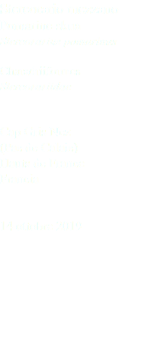 Stercorario mezzano Pomarine skua Stercorarius pomarinus Charadriiformes Stercorariidae Cap Gris Nez (Pas de Calais) Hauts de France Francia 14 ottobre 2019