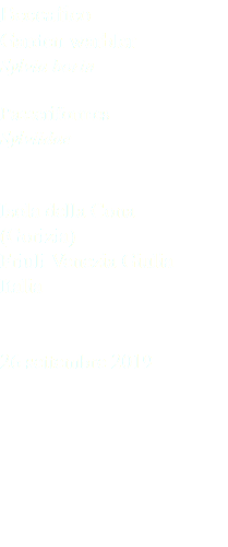 Beccafico Garden warbler Sylvia borin Passeriformes Sylviidae Isola della Cona (Gorizia) Friuli Venezia Giulia Italia 26 settembre 2019