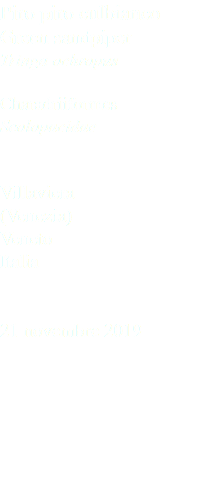 Piro piro culbianco Green sandpiper Tringa ochropus Charadriiformes Scolopacidae Villaviera (Venezia) Veneto Italia 21 novembre 2019