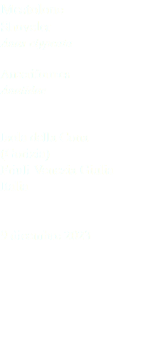 Mestolone Shoveler Anas clypeata Anseriformes Anatidae Isola della Cona (Gorizia) Friuli Venezia Giulia Italia 9 dicembre 2023