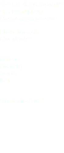 Corriere di Leschenault Great sand plover Charadrius leschenaultii Charadriiformes Charadriidae Bibione (Venezia) Veneto Italia 20 settembre 2023
