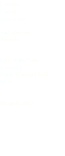Codone Pintail Anas acuta Anseriformes Anatidae Isola della Cona (Gorizia) Friuli Venezia Giulia Italia 02 aprile 2016