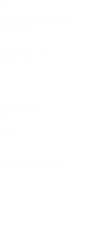 Barbagianni Western barn owl Tyto alba Strigiformes Tytonidae Brussa (Venezia) Veneto Italia 20 settembre 2023