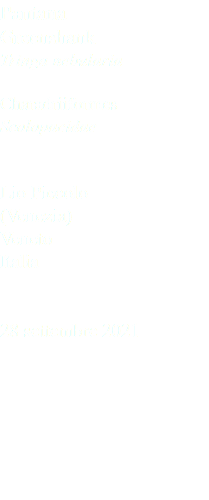 Pantana Greenshank Tringa nebularia Charadriiformes Scolopacidae Lio Piccolo (Venezia) Veneto Italia 28 settembre 2021