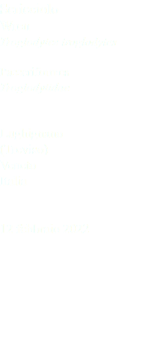 Scricciolo Wren Troglodytes troglodytes Passeriformes Troglodytidae Lughignano (Treviso) Veneto Italia 12 febbraio 2022