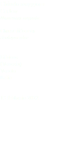 Chiurlo maggiore Curlew Numenius arquata Charadriiformes Scolopacidae Bibione (Venezia) Veneto Italia 13 febbraio 2022