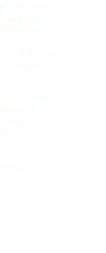 Nibbio bruno Black kite Milvus migrans Accipitriformes Accipitridae Terzo Bacino (Venezia) Veneto Italia 19 marzo 2022