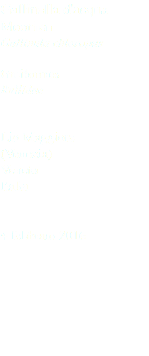 Gallinella d'acqua Moorhen Gallinula chloropus Gruiformes Rallidae Lio Maggiore (Venezia) Veneto Italia 4 febbraio 2016