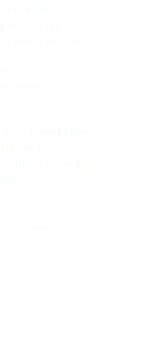 Garzetta Little egret Egretta garzetta Pelecaniformes Ardeidae Valle Canal Novo (Udine) Friuli Venezia Giulia Italia 2 dicembre 2015