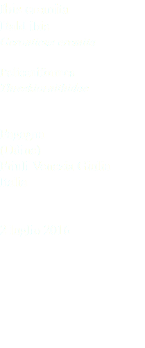 Ibis eremita Bald ibis Geronticus eremita Pelicaniformes Threskiornithidae Fagagna (Udine) Friuli Venezia Giulia Italia 2 luglio 2016